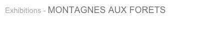 Exhibitions - MONTAGNES AUX FORETS